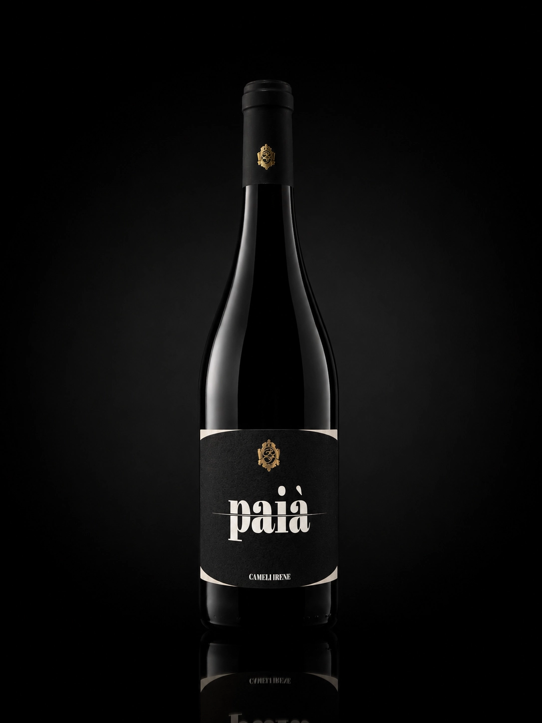 Paià